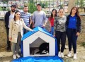 Öğrenciler Köpeğe Sahip Çıktı